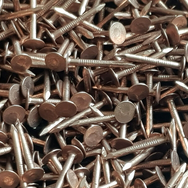 schraubenheld-shop-kuppferpappnaegel